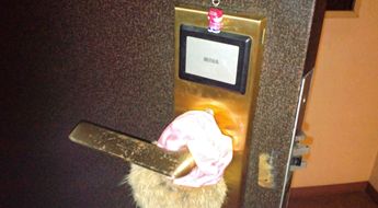 20140319A.JPG