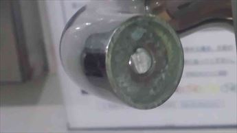 20210705E.JPG
