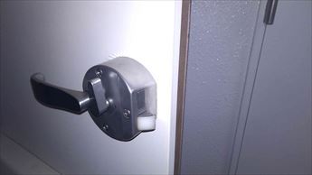 20250129A.JPG