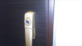 20250203.JPG
