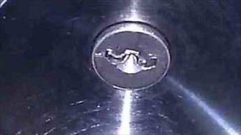 20250314A.JPG