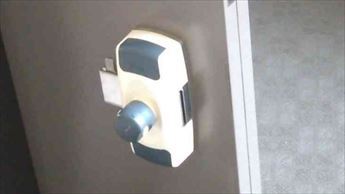 20250320D.JPG
