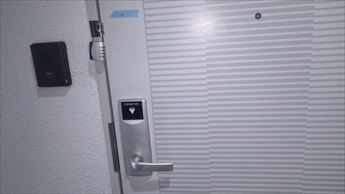 20250401.JPG