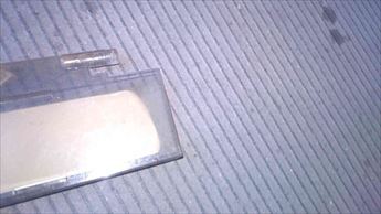 20250501.JPG
