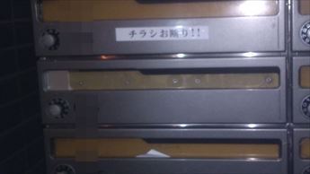 20250504E.JPG