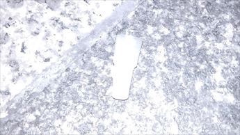20250505C.JPG